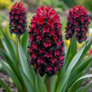 Гиацинт Джем Стоун купить по цене от 2099р. в интернет-магазине «Посадика» с доставкой почтой в в Шатурае и по всей России – [изображение №1].