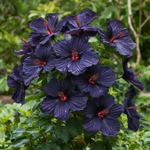 Гибискус Мэджик Момент купить по цене от 699р. в интернет-магазине «Посадика» с доставкой почтой в в Шатурае и по всей России – [изображение №1].