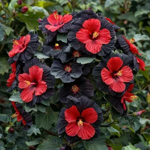 Гибискус Шиммеринг купить по цене от 720р. в интернет-магазине «Посадика» с доставкой почтой в в Шатурае и по всей России – [изображение №1].